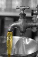 Huile d'olive bio – produits régionaux Sud de France