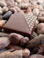 LA CHOCOLATERIE DU BLASON