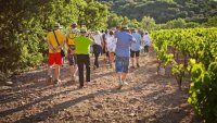 LA CIRCULADE EN TERRASSES DU LARZAC