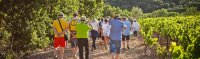 LA CIRCULADE EN TERRASSES DU LARZAC