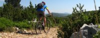 Sortie vélo avec Languedoc Nature, réceptif Vignobles & Découvertes en Languedoc, Coeur d'Hérault