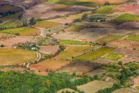 Paysages de vignes en coeur d'Hérault