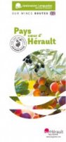 Wine Routes