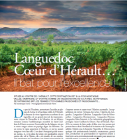 Titre Terre de Vins : Languedoc, Coeur d'Hérault...il bat pour l'excellence !