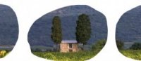 Couverture "Patrimoine viticole en Coeur d'Hérault"