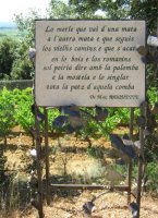 Sentier du vin des Poètes, Saint-Saturnin-de-Lucian, Languedoc Cœur d’Hérault