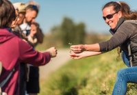 RANDONNÉE BOTANIQUE ENTRE VIGNES ET OLIVIERS À PUÉCHABON