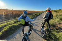 Trot 'Evasion-Circuit Oenotouristique