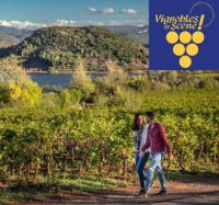 Vignobles en Sc&egrave;ne 2026 !