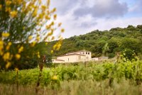 Domaine Virgile Joly