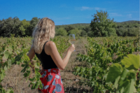 Wine by Ana - Illustration