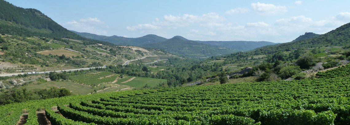 Vue sur la vallée - Pégairolles-de-l'Escalette, Pays Cœur d’Hérault, Languedoc, Occitanie