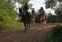 EQUI LARZAC N-1-2020 © EQUI LARZAC