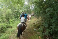 EQUI LARZAC N--6-2020- © EQUI LARZAC