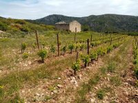 LA-JASSE-CASTEL-187073405_3892781444178201_4757912854773092785_n &copy; Noelle Bardou