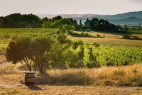 StephMontesinos-9894-1-scaled © DOMAINE DE pELICAN