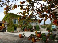  Domaine de Pelican © Solignac Julie - OTI-SGVH
