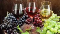 vin vin © passeport santé