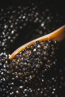 Caviar_Chateau_Castillonne © @GuilhemCanal