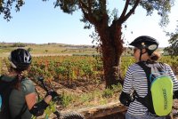 trottinette vignes ©Languedoc Coeur d'Hérault