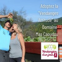 22.09 vendangeur 1 jour © Déborah et Damien Vergnes