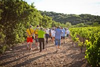 Terrasses du Larzac © Syndicat AOP Terrasses du Larzac 