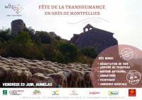 fête de la transhumance aumelas © Grès de montpellier