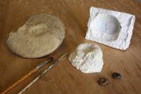 Atelier_moulage © Musée de Lodève