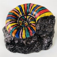 Des_fossiles_en_couleur©musee-de-Lodeve © MUSEE LODEVE