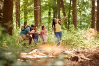 istockphoto-1439943931-612x612 © Pixabey