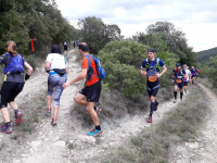 Vinotrail Montpeyroux Arboras © Barral Thibaut-CCVH