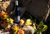 Domaine de l'Aster © Domaine de l'Aster