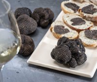 Truffe &copy; Ecole des Vins du Languedoc