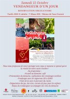 VENDANGEUR D’UN JOUR AU DOMAINE DE L’ASTER © DOMAINE DE L’ASTER