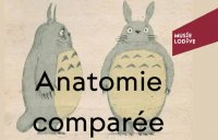 anatomie_visite_flash.C1 &copy; Mus&eacute;e lod&egrave;ve