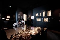 Musée de Lodève - Lodève (Hérault) © herve leclair / aspheries.com