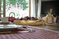 GITE LES MEULIERES (9) © miel de printemps