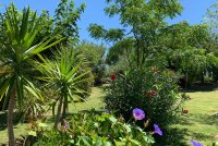 HLOLAR034NO09948_11 © Chambre