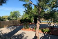 L'acacia_3 &copy; Marc & Christel Foures