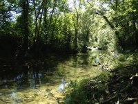 IMG_0923 © CAMPING DES SOURCES