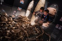 Musée de Lodève © Vitinova